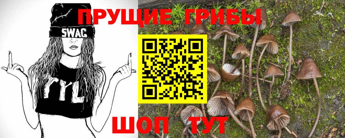 Саров  Галлюциногенные грибы мицелий  Вход с VPN 