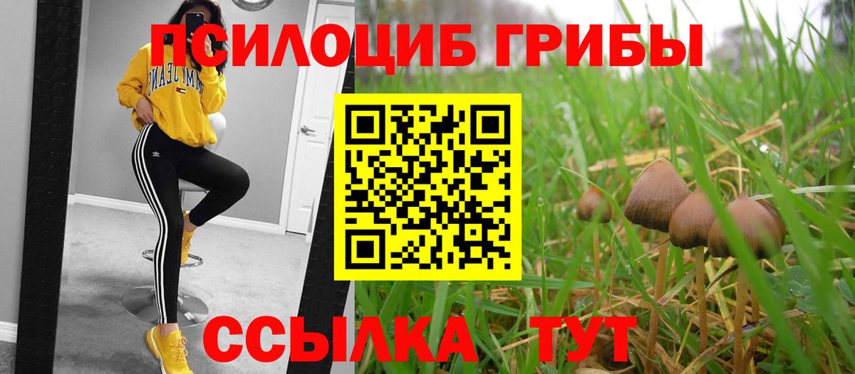 Псилоцибиновые грибы MAGIC MUSHROOMS Саров