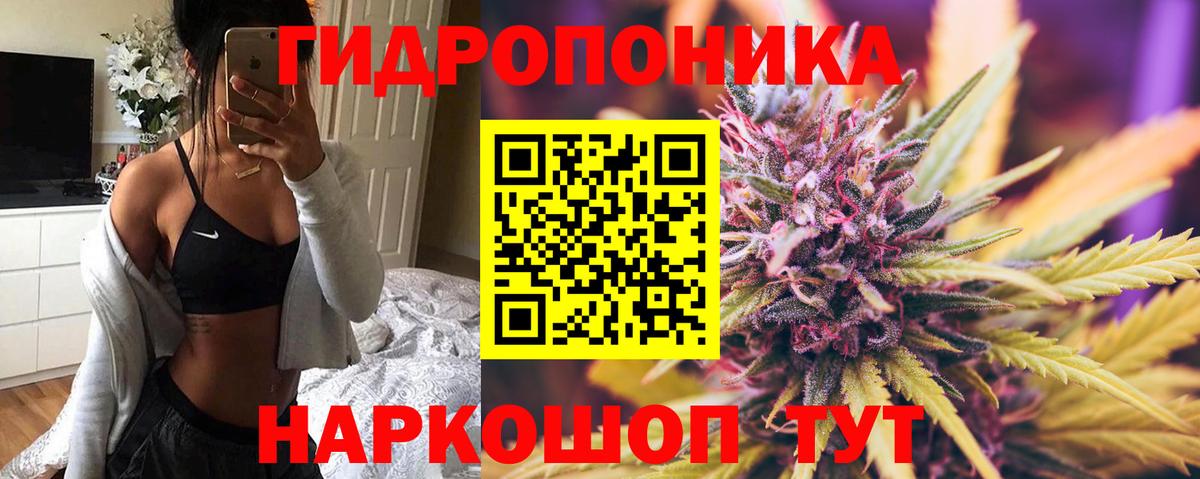 Каннабис Bruce Banner  Бошки марихуана THC 21%  Саров  Шишки марихуана OG Kush  Вход с VPN 